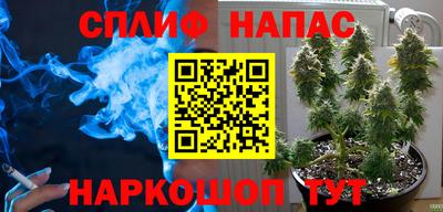 ПСИЛОЦИБИНОВЫЕ ГРИБЫ Новокубанск