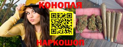 ПСИЛОЦИБИНОВЫЕ ГРИБЫ Новокубанск
