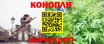 спиды Новодвинск