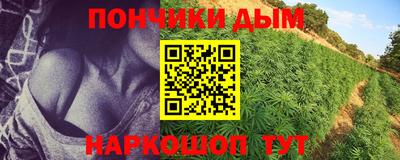ПСИЛОЦИБИНОВЫЕ ГРИБЫ Новокубанск
