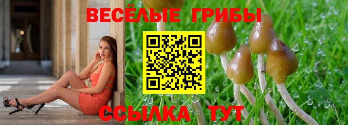 Метадон  Вход с VPN  ЭКСТАЗИ  Гашиш  Мефедрон кристаллы  Гашиш  Сальск  Марихуана 
